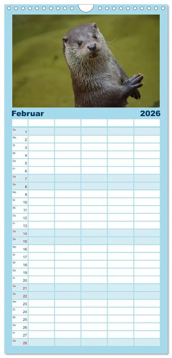 Bild: 9783516513622 | Familienplaner 2026 - Otter. Frech, laut und clever mit 5 Spalten...
