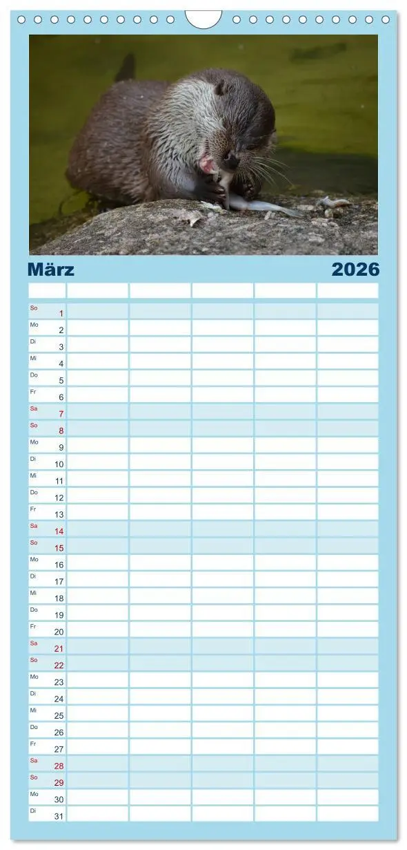 Bild: 9783516513622 | Familienplaner 2026 - Otter. Frech, laut und clever mit 5 Spalten...
