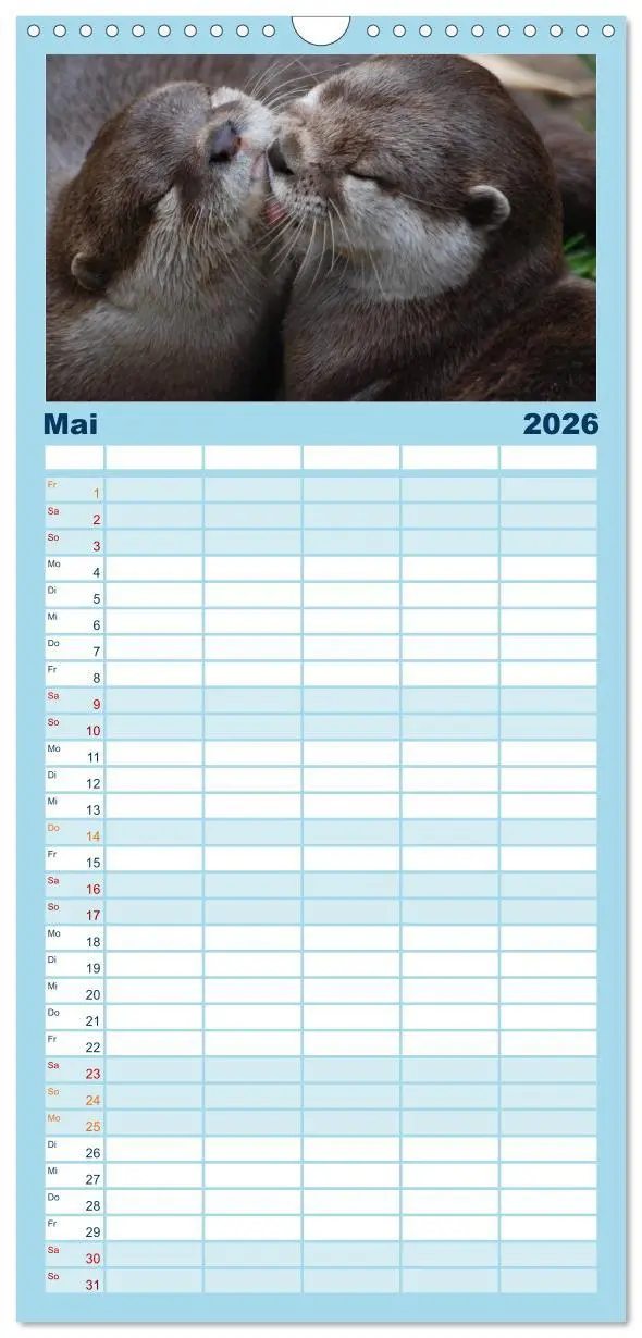 Bild: 9783516513622 | Familienplaner 2026 - Otter. Frech, laut und clever mit 5 Spalten...