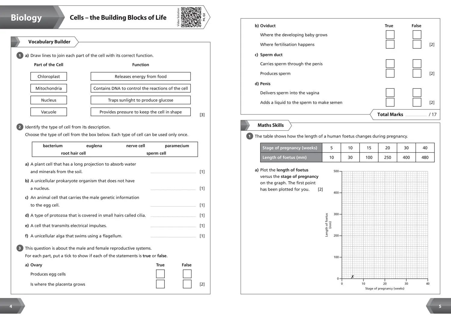 Bild: 9780008553722 | Ks3 Science Year 7 Workbook | Ideal for Year 7 | Collins Collins Ks3