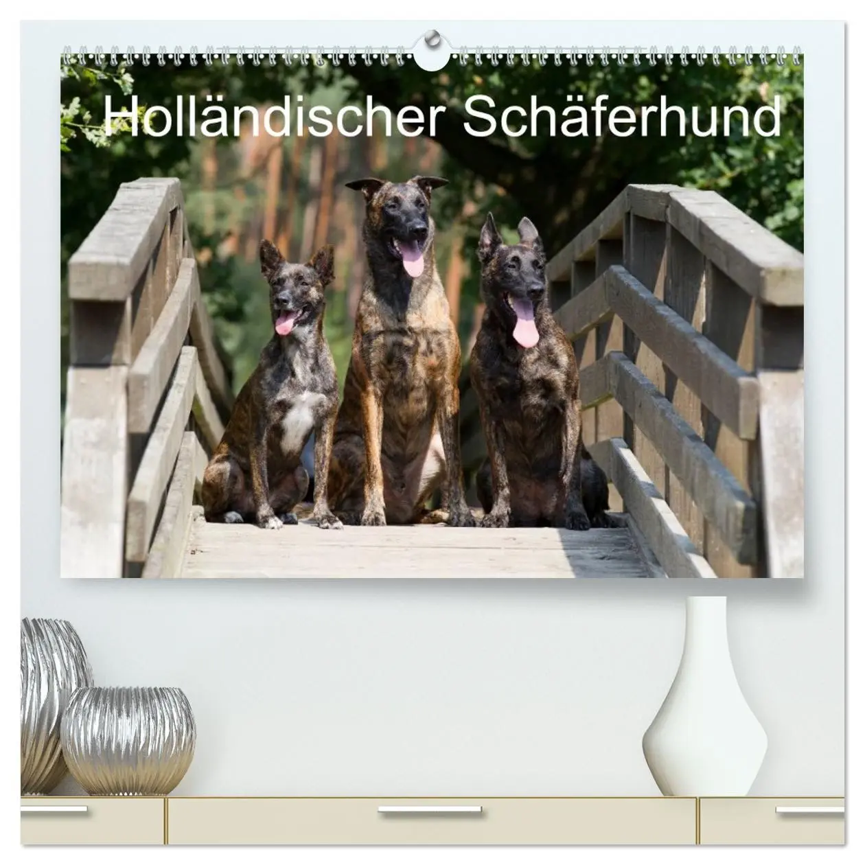 Cover: 9783516123722 | Holländischer Schäferhund (hochwertiger Premium Wandkalender 2026...