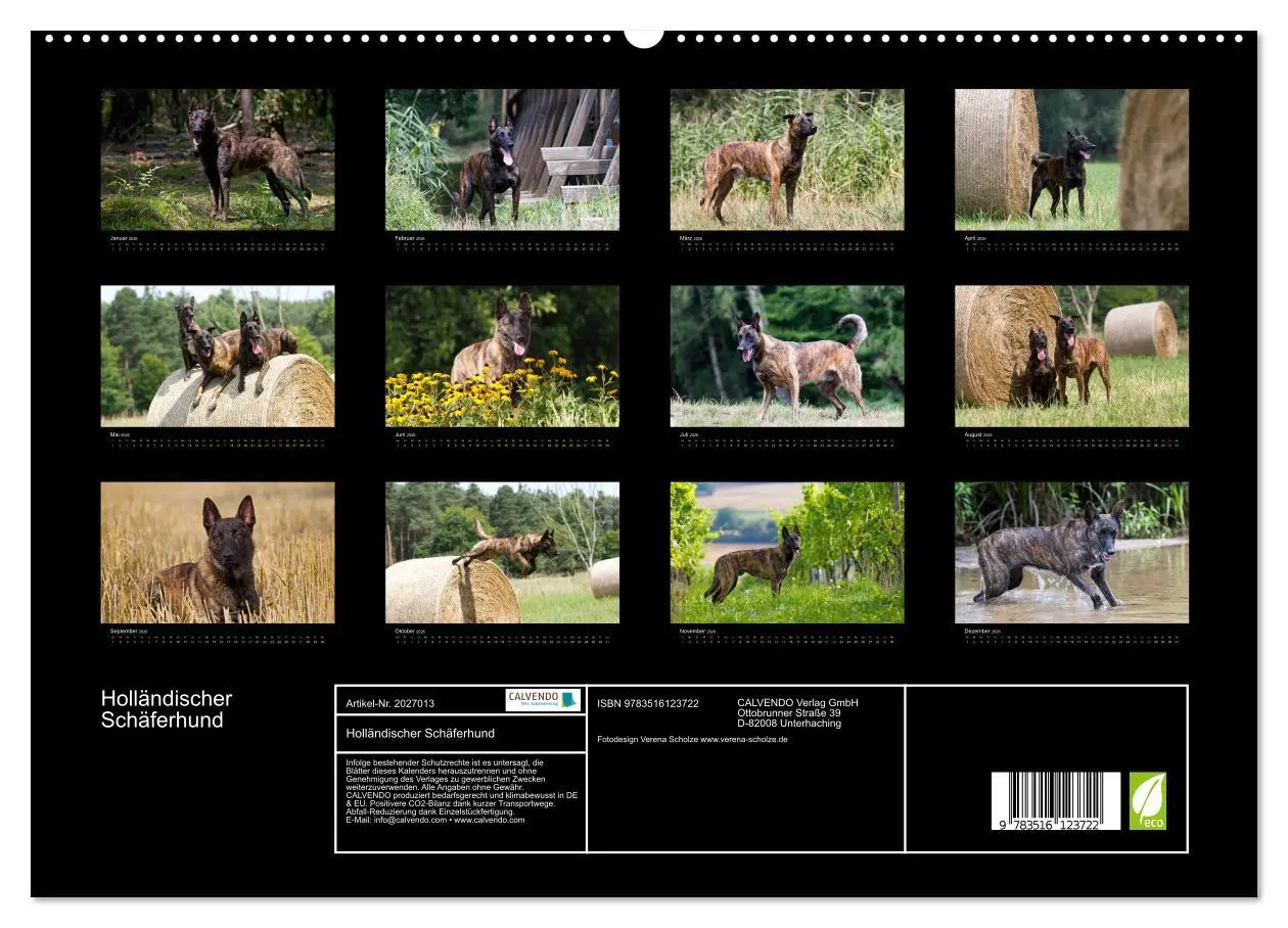 Bild: 9783516123722 | Holländischer Schäferhund (hochwertiger Premium Wandkalender 2026...