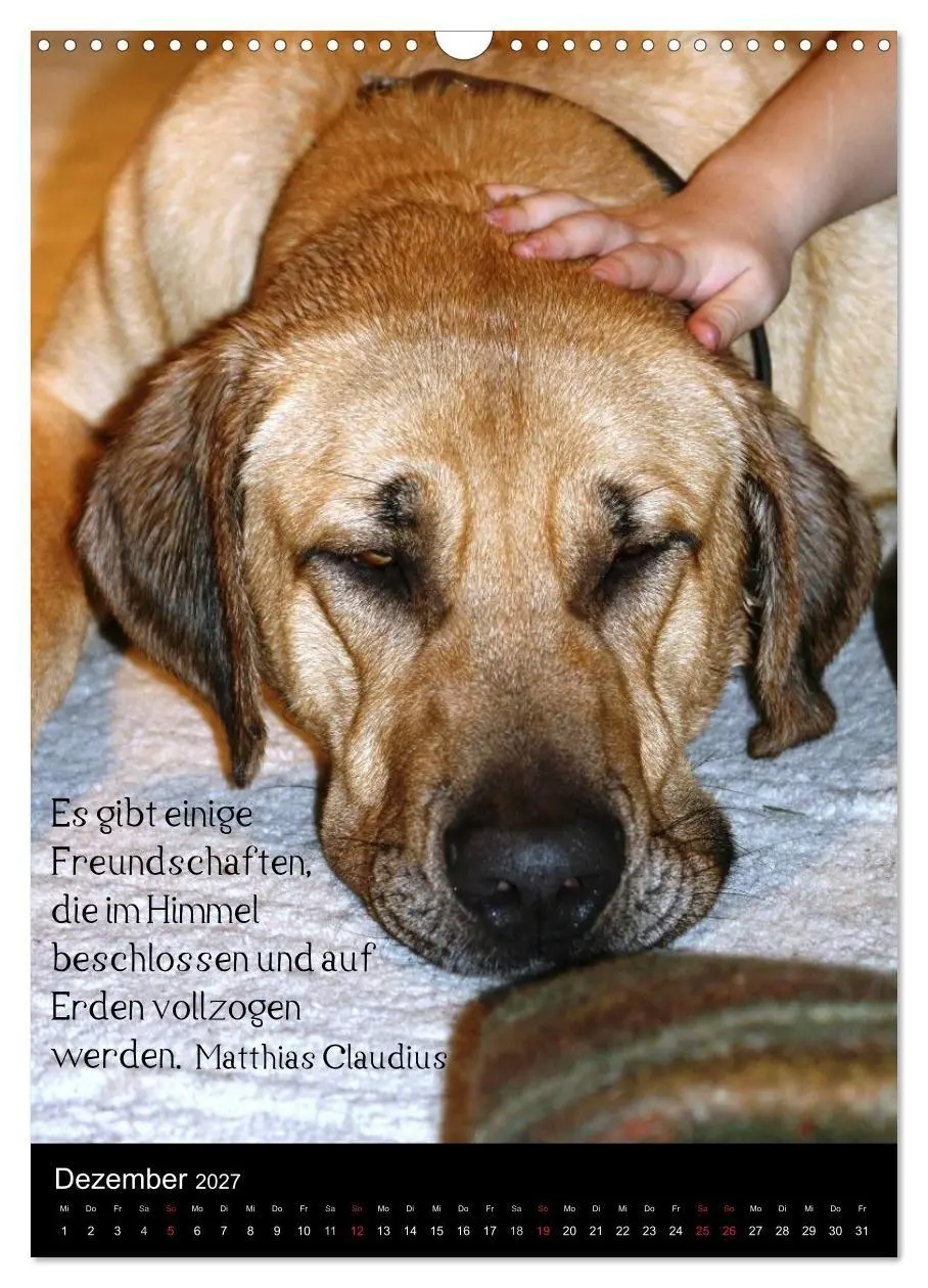 Bild: 9783594103722 | Der Broholmer (Wandkalender 2027 DIN A3 hoch), CALVENDO Monatskalender