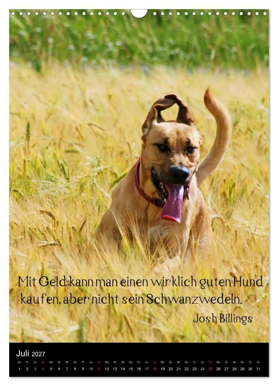 Bild: 9783594103722 | Der Broholmer (Wandkalender 2027 DIN A3 hoch), CALVENDO Monatskalender