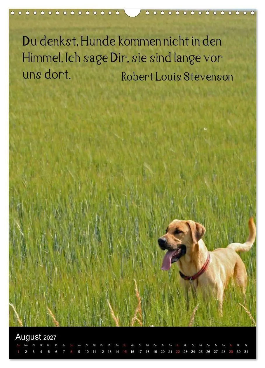 Bild: 9783594103722 | Der Broholmer (Wandkalender 2027 DIN A3 hoch), CALVENDO Monatskalender