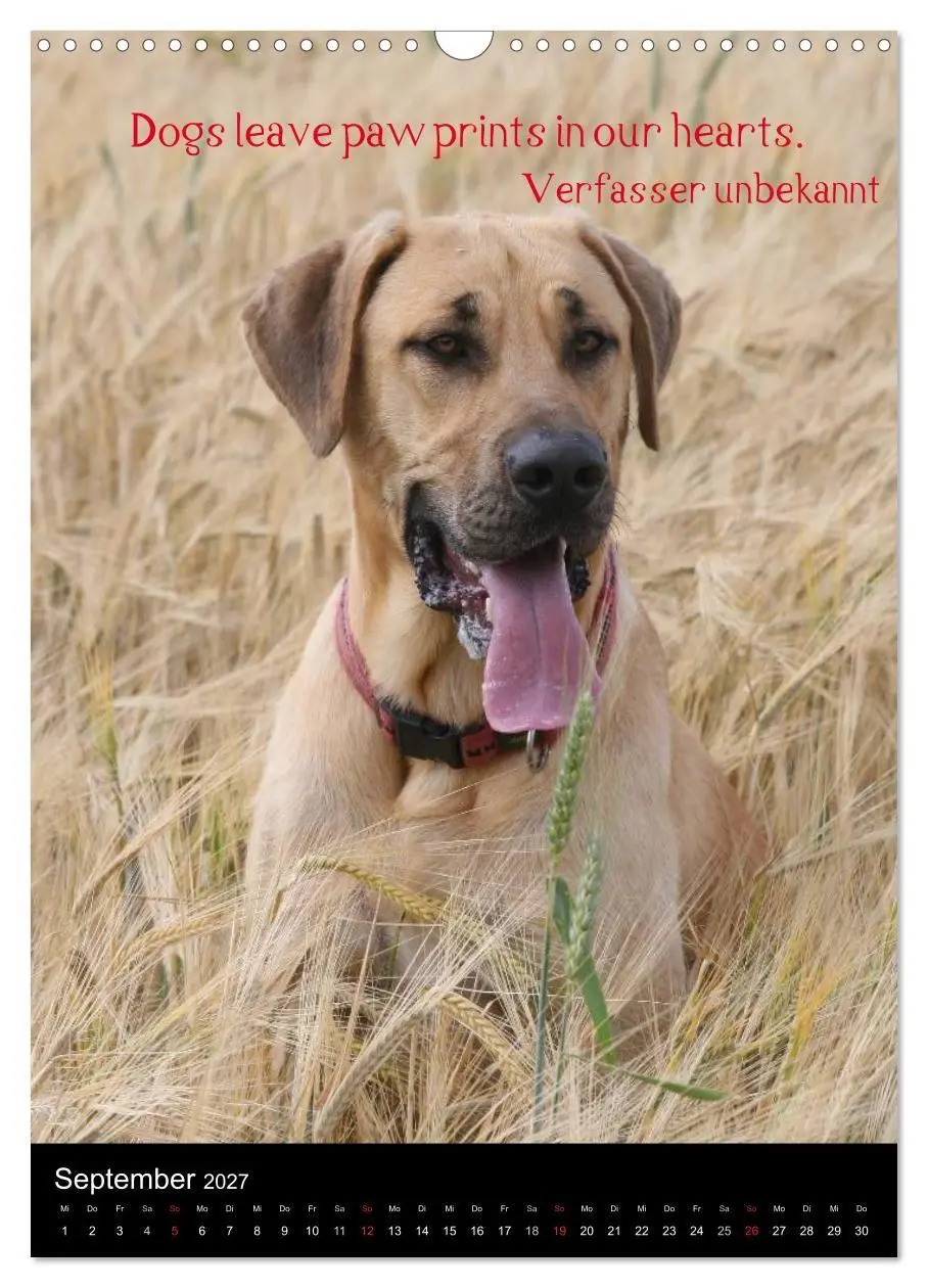 Bild: 9783594103722 | Der Broholmer (Wandkalender 2027 DIN A3 hoch), CALVENDO Monatskalender