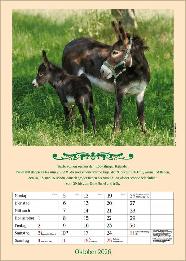 Bild: 9783731883722 | Landleben mit Hundertjährigem Kalender 2026 | Verlag Korsch | Kalender