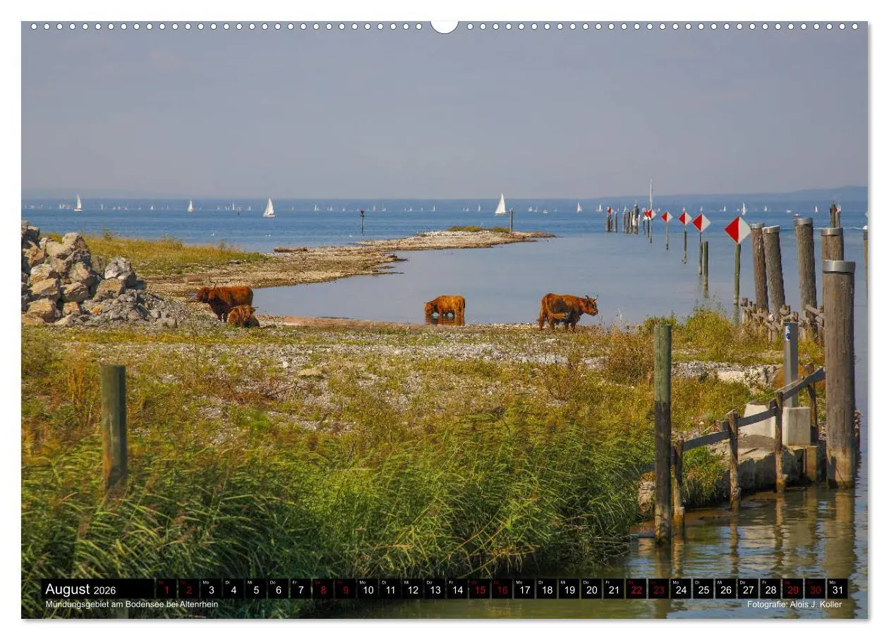 Bild: 9783457883822 | Das Rheintal 2026 (Wandkalender 2026 DIN A2 quer), CALVENDO...