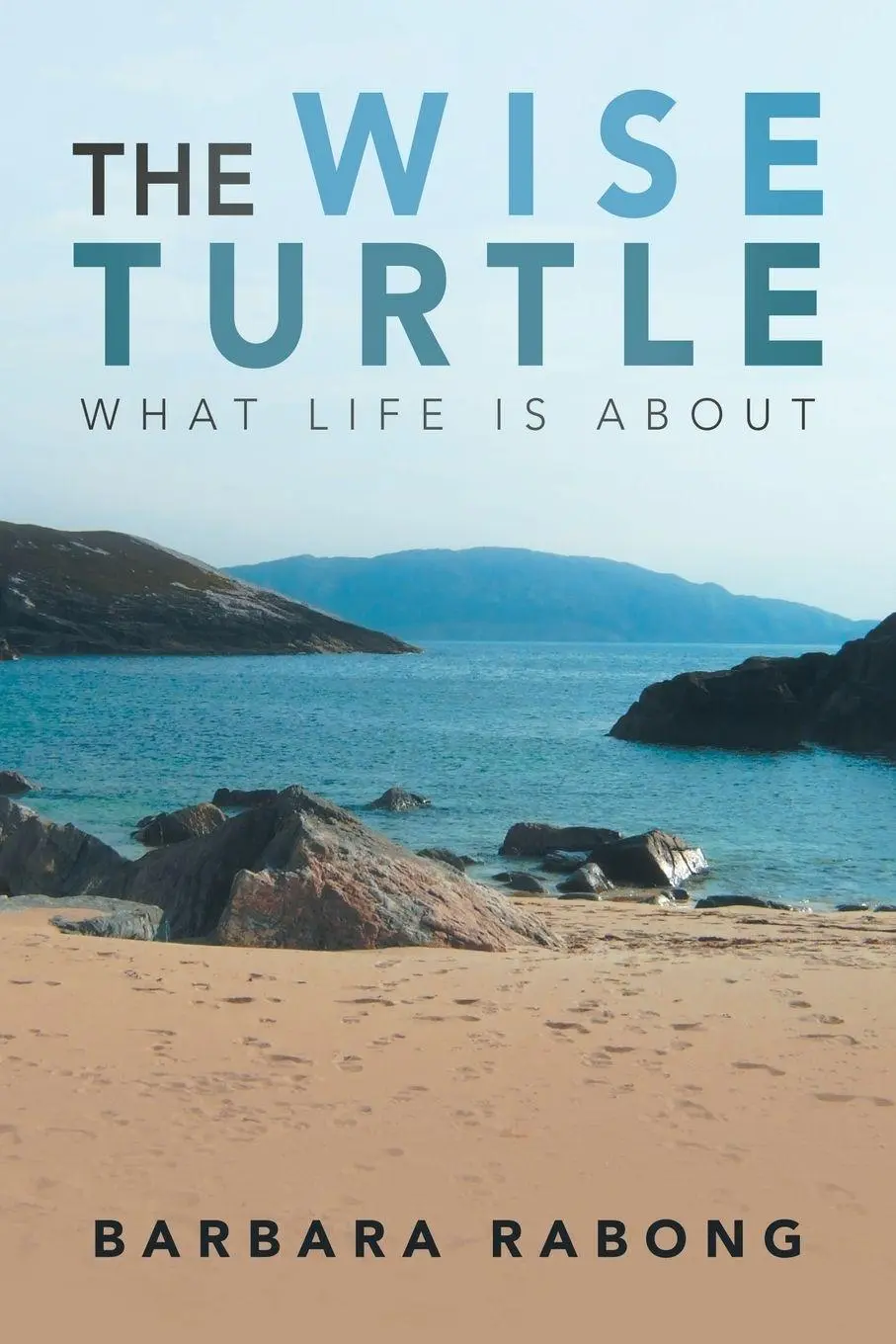 Cover: 9781982223922 | The Wise Turtle | What Life Is About | Barbara Rabong | Taschenbuch