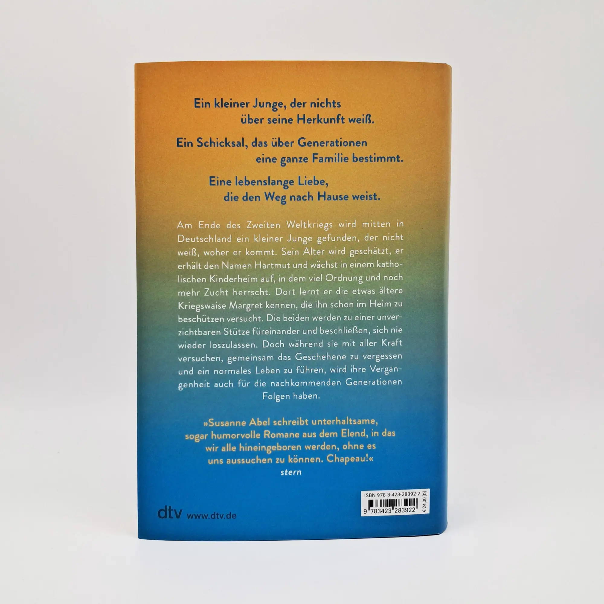 Bild: 9783423283922 | Du musst meine Hand fester halten, Nr. 104 | Susanne Abel | Buch