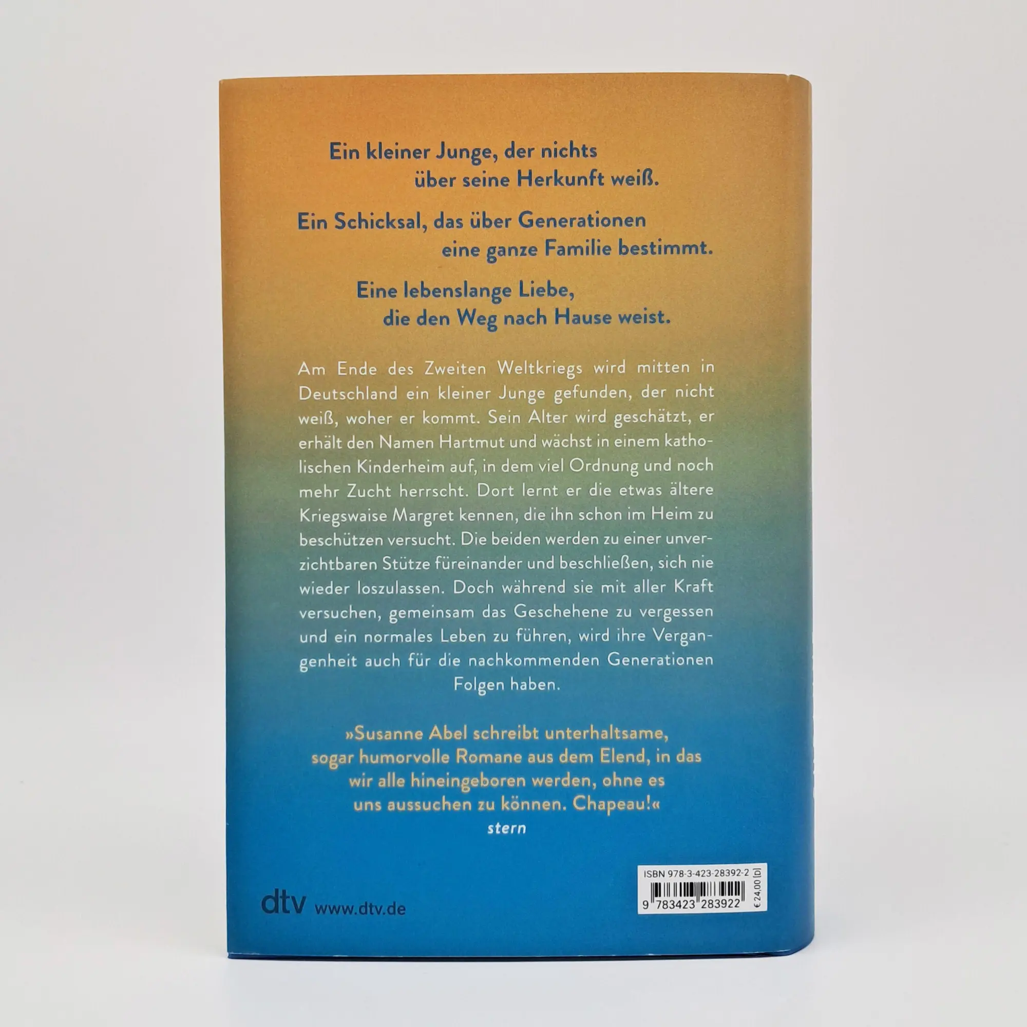 Bild: 9783423283922 | Du musst meine Hand fester halten, Nr. 104 | Susanne Abel | Buch