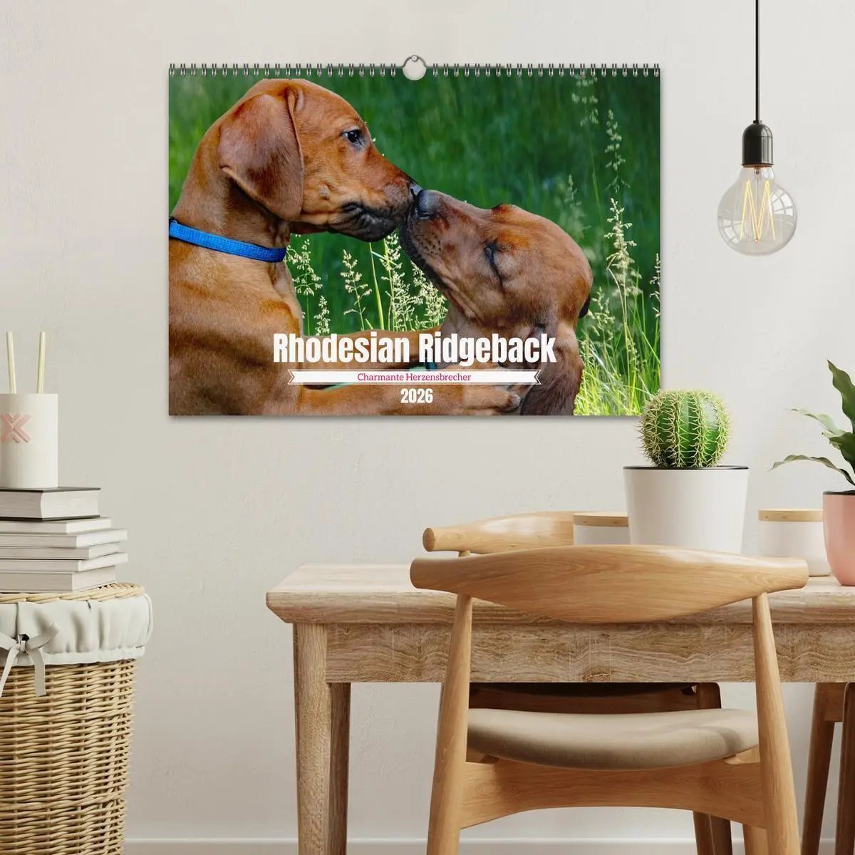 Bild: 9783457563922 | Rhodesian Ridgeback, Charmante Herzensbrecher (Wandkalender 2026...