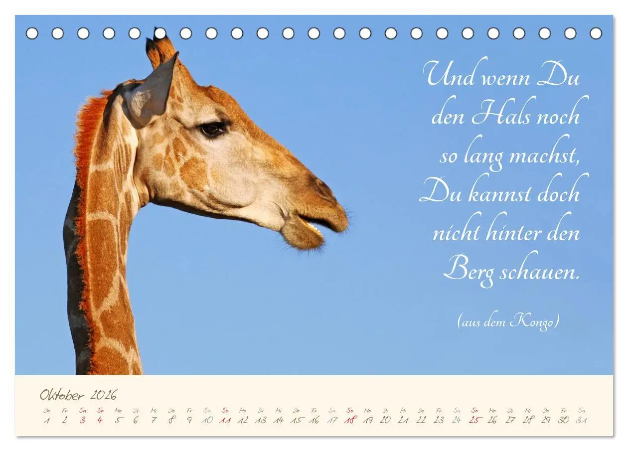 Bild: 9783457943922 | AFRIKA mit einem Hauch von Poesie (Tischkalender 2026 DIN A5 quer),...