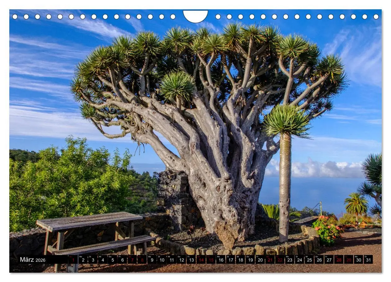 Bild: 9783457834022 | Natur pur erleben auf La Palma (Wandkalender 2026 DIN A4 quer),...