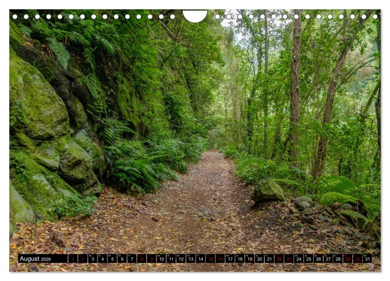 Bild: 9783457834022 | Natur pur erleben auf La Palma (Wandkalender 2026 DIN A4 quer),...