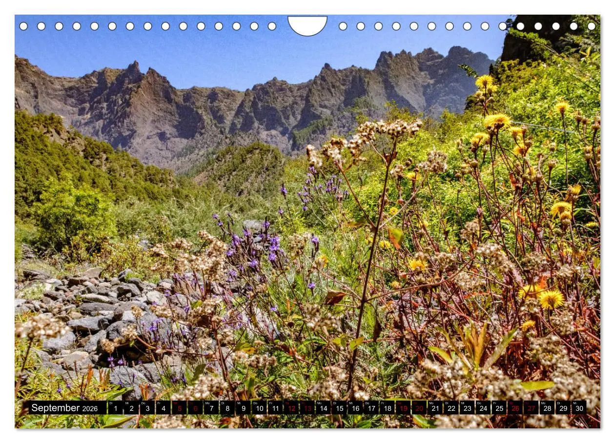 Bild: 9783457834022 | Natur pur erleben auf La Palma (Wandkalender 2026 DIN A4 quer),...
