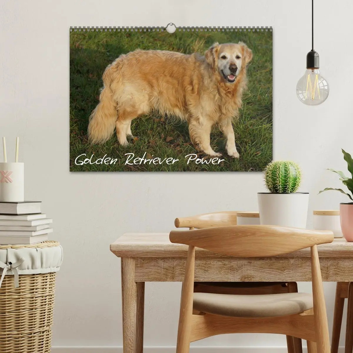 Bild: 9783516234022 | Golden Retriever Power (Wandkalender 2026 DIN A3 quer), CALVENDO...