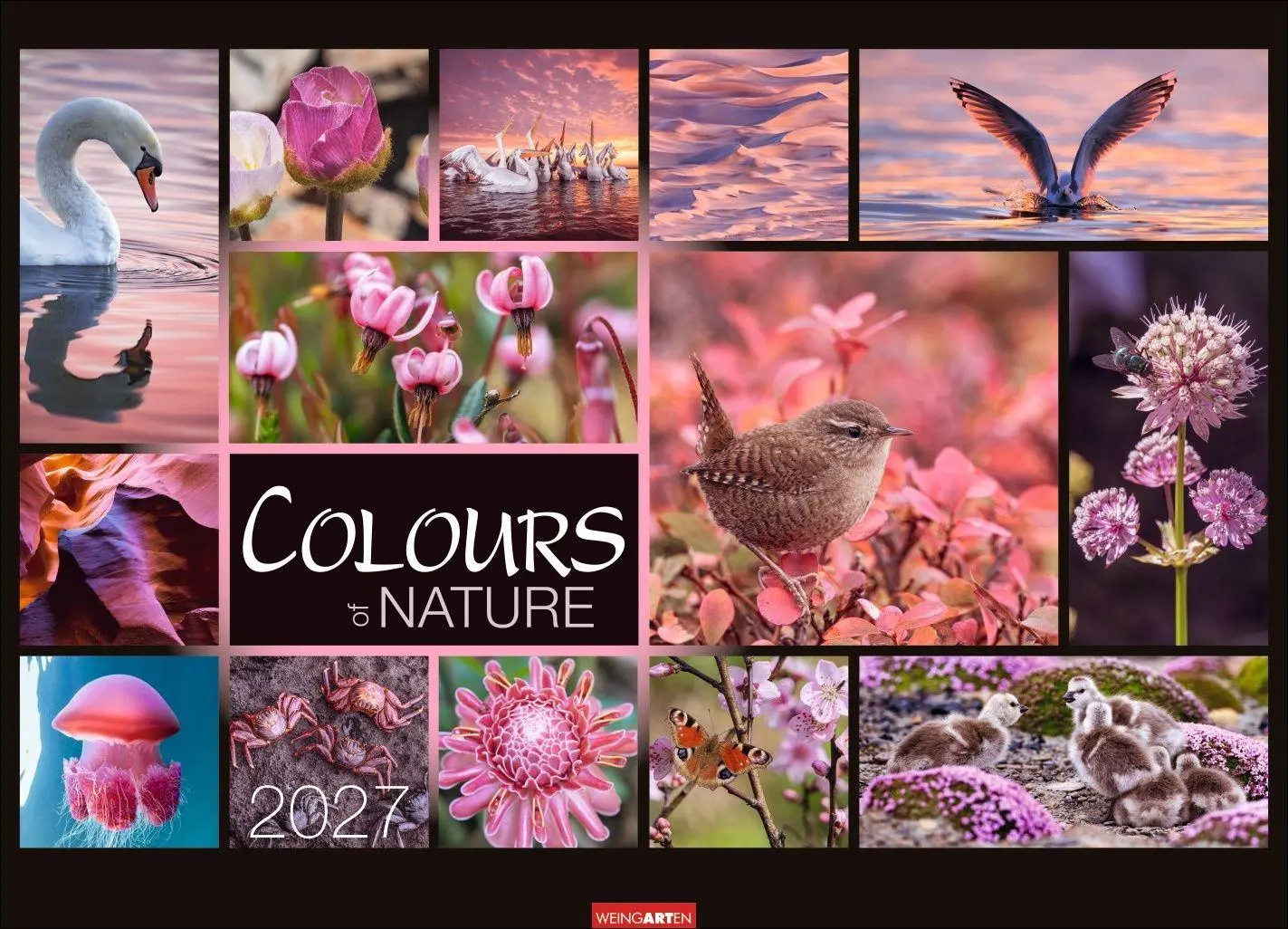Cover: 9783839904022 | Colours of Nature Kalender 2027 | Kalender | Spiralbindung | 14 S.
