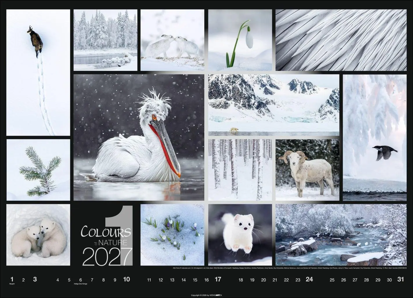 Bild: 9783839904022 | Colours of Nature Kalender 2027 | Kalender | Spiralbindung | 14 S.