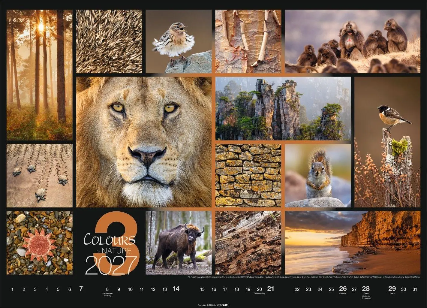 Bild: 9783839904022 | Colours of Nature Kalender 2027 | Kalender | Spiralbindung | 14 S.