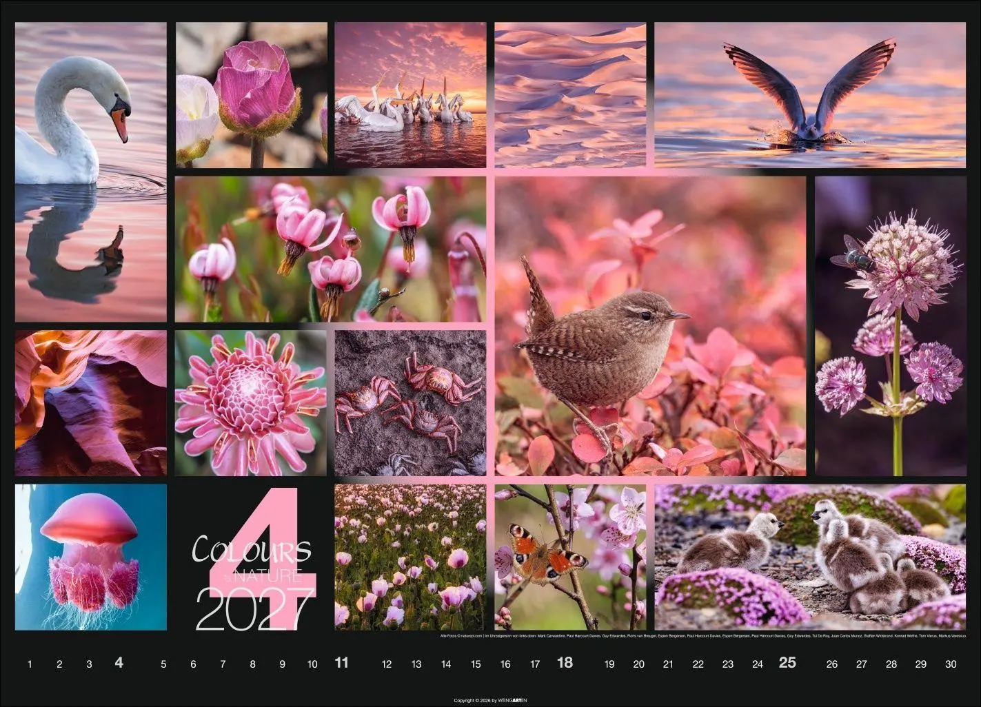 Bild: 9783839904022 | Colours of Nature Kalender 2027 | Kalender | Spiralbindung | 14 S.
