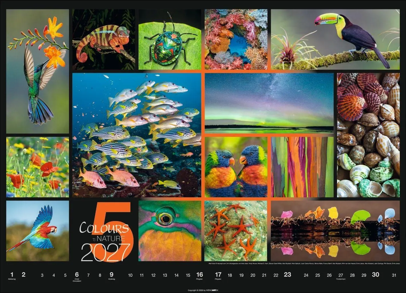 Bild: 9783839904022 | Colours of Nature Kalender 2027 | Kalender | Spiralbindung | 14 S.