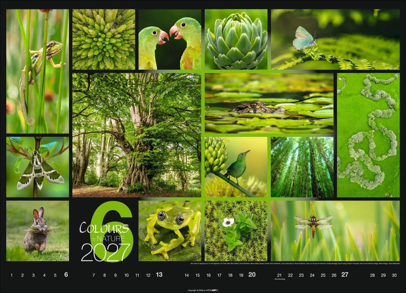 Bild: 9783839904022 | Colours of Nature Kalender 2027 | Kalender | Spiralbindung | 14 S.
