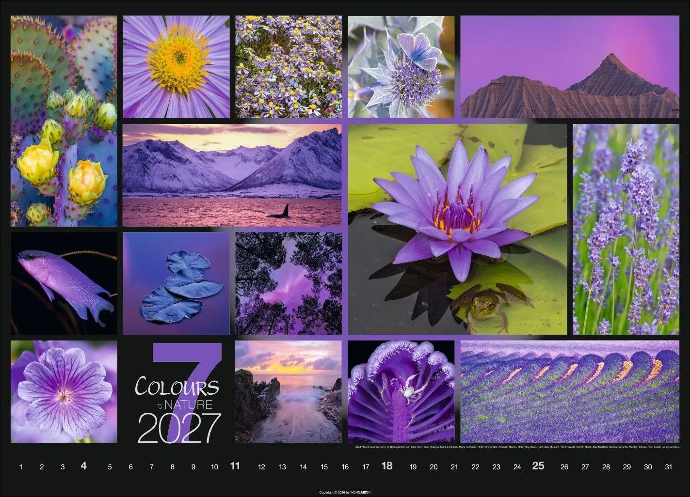 Bild: 9783839904022 | Colours of Nature Kalender 2027 | Kalender | Spiralbindung | 14 S.