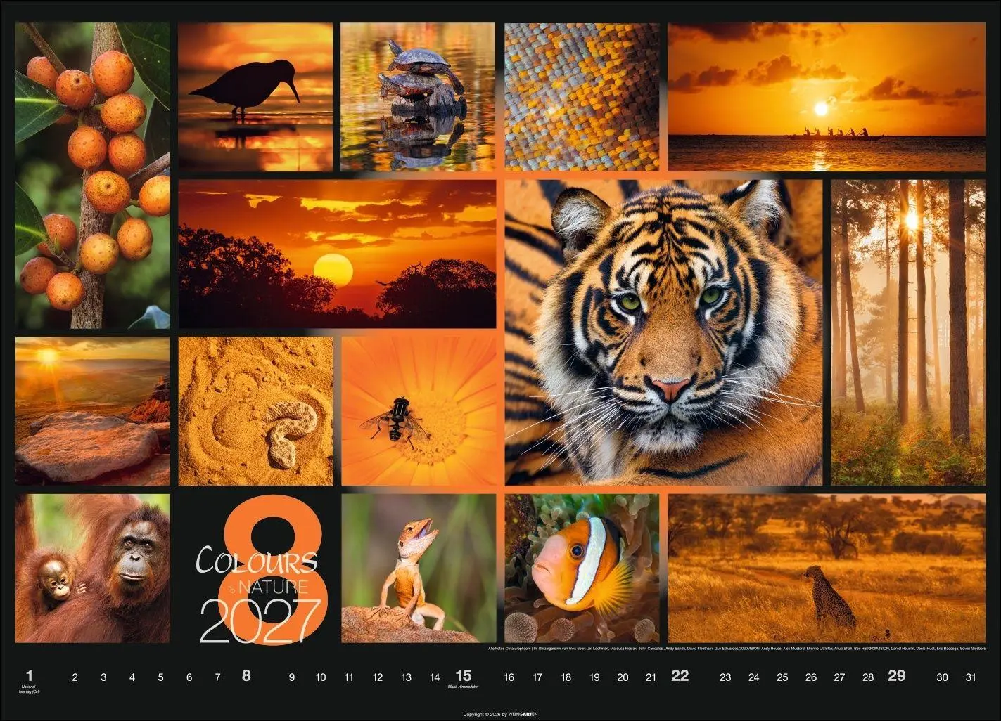 Bild: 9783839904022 | Colours of Nature Kalender 2027 | Kalender | Spiralbindung | 14 S.