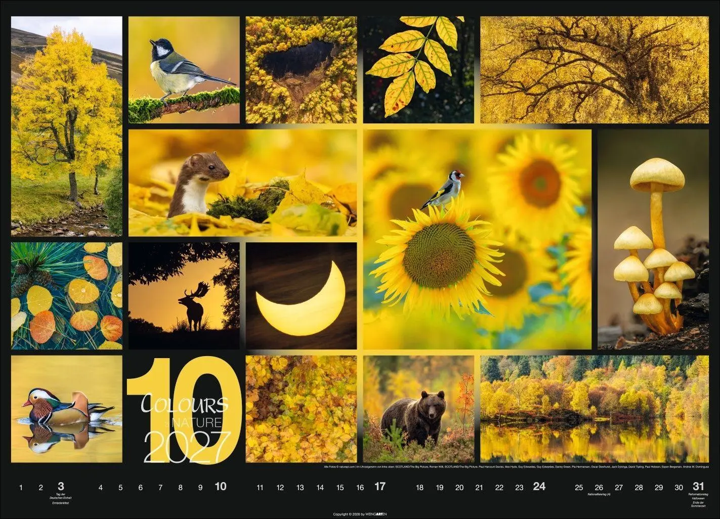 Bild: 9783839904022 | Colours of Nature Kalender 2027 | Kalender | Spiralbindung | 14 S.