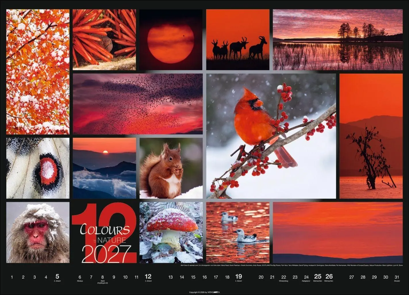 Bild: 9783839904022 | Colours of Nature Kalender 2027 | Kalender | Spiralbindung | 14 S.