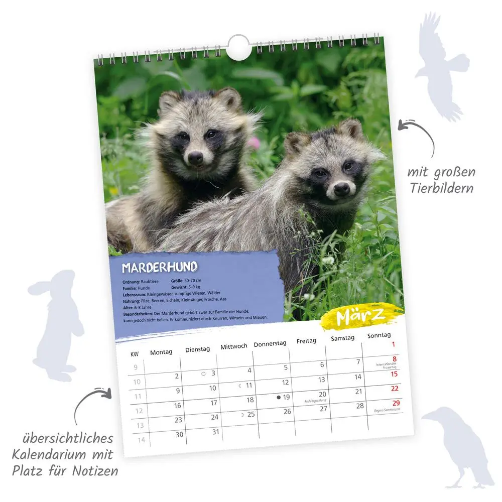 Bild: 9783988024022 | Trötsch Classickalender Heimische Tierwelt 2026 | Wandkalender | KG