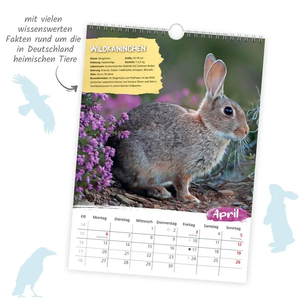 Bild: 9783988024022 | Trötsch Classickalender Heimische Tierwelt 2026 | Wandkalender | KG