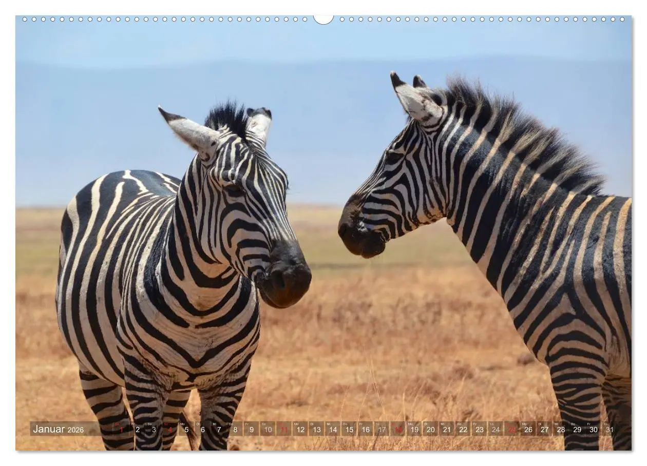 Bild: 9783457994122 | Tansania - Faszinierendes Afrika (Wandkalender 2026 DIN A2 quer),...