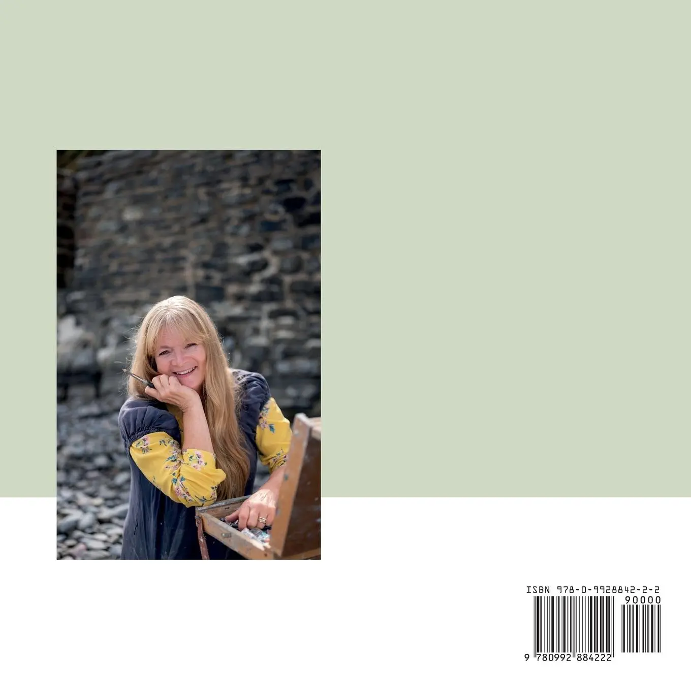 Rückseite: 9780992884222 | Painting The Year | 365 Days of En Plein Air Painting | Deborah Last