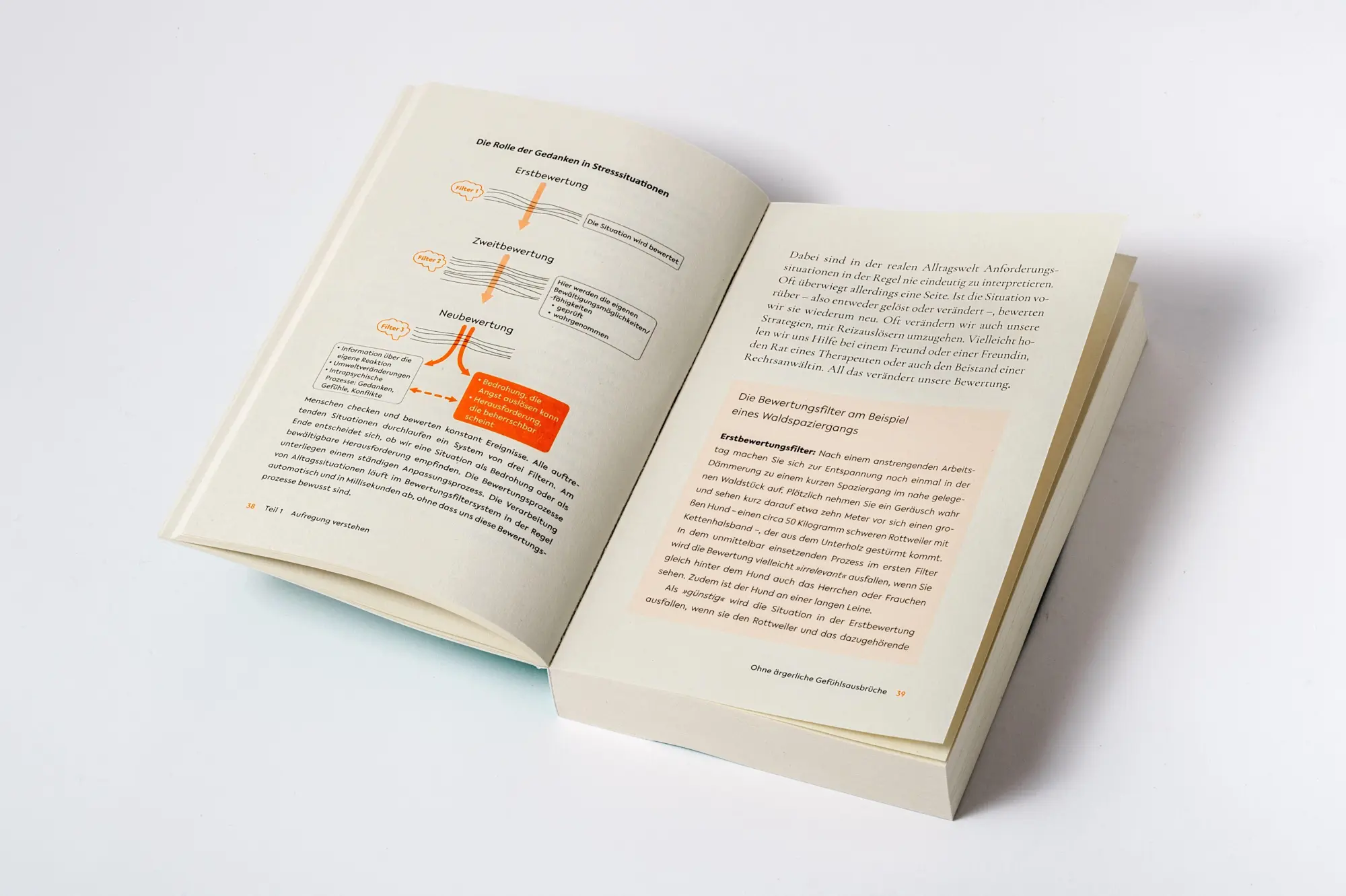Bild: 9783328114222 | Reg dich ab! - Endlich Schluss mit Ärger, Wut und Frust | Taschenbuch