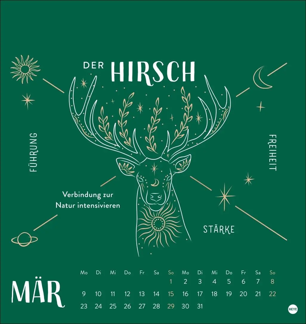 Bild: 9783756414222 | Krafttiere Postkartenkalender 2026 | Kalender | 13 S. | Deutsch | 2026
