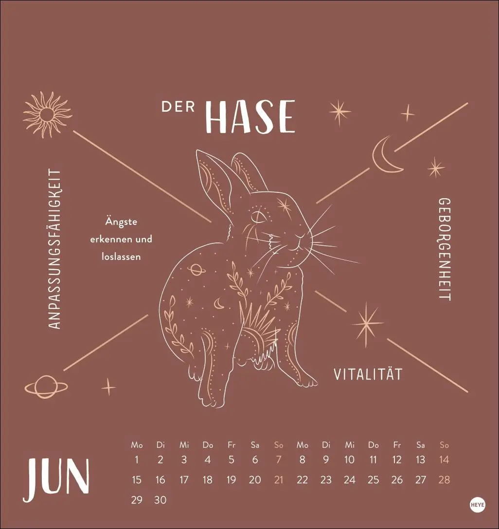 Bild: 9783756414222 | Krafttiere Postkartenkalender 2026 | Kalender | 13 S. | Deutsch | 2026
