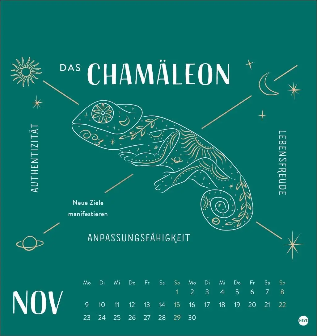 Bild: 9783756414222 | Krafttiere Postkartenkalender 2026 | Kalender | 13 S. | Deutsch | 2026