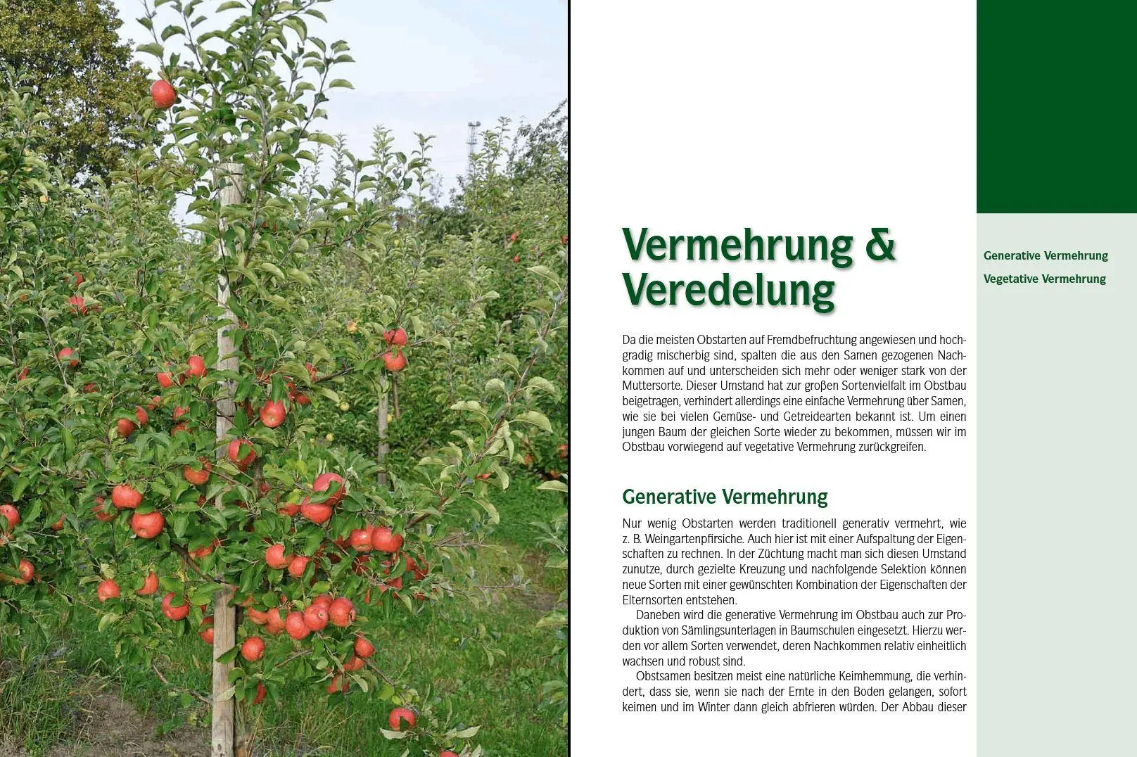 Bild: 9783702014322 | Der professionelle Obstbaumschnitt | Inkl. Vermehrung &amp; Veredelung