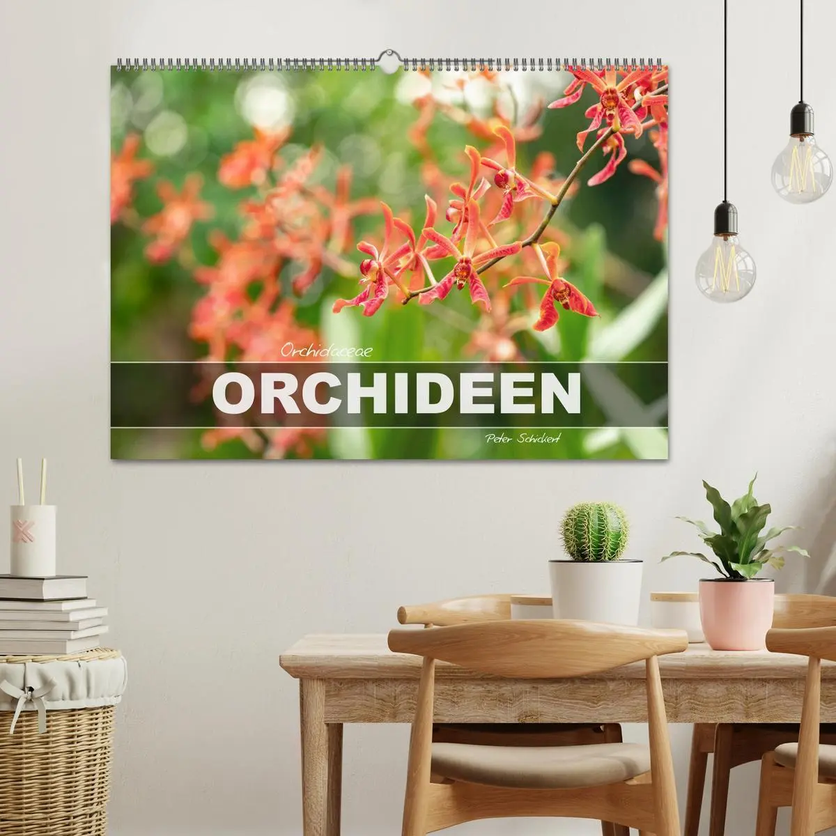 Bild: 9783457274422 | Orchidaceae - Orchideen (Wandkalender 2026 DIN A2 quer), CALVENDO...
