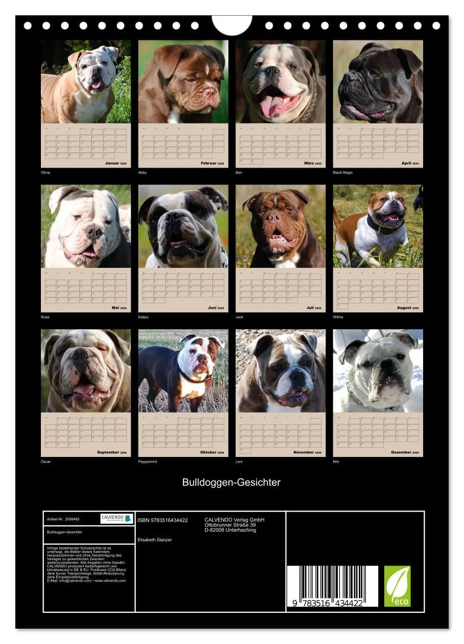 Bild: 9783516434422 | Bulldoggen-Gesichter (Wandkalender 2026 DIN A4 hoch), CALVENDO...