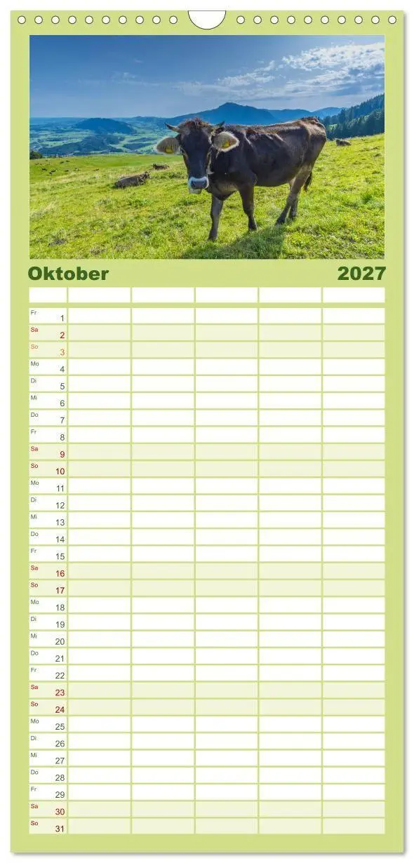 Bild: 9783594344422 | Familienplaner 2027 - Allgäuer Schönheiten Allgäu - Land der Kühe...