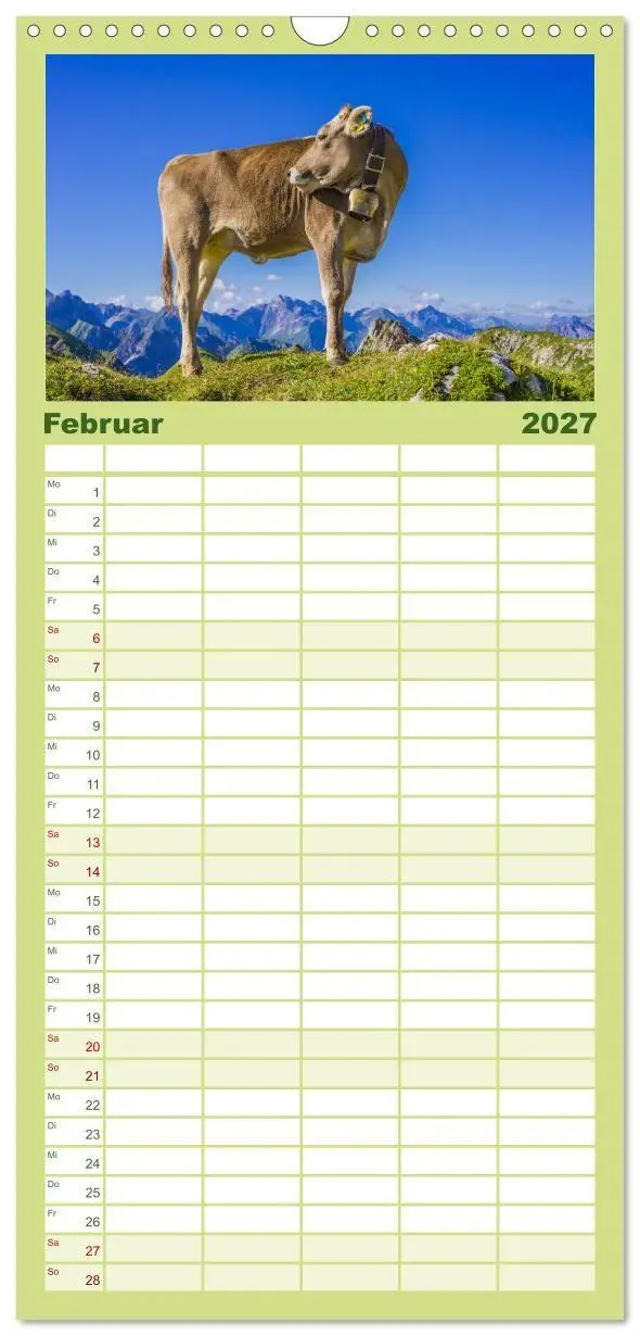 Bild: 9783594344422 | Familienplaner 2027 - Allgäuer Schönheiten Allgäu - Land der Kühe...