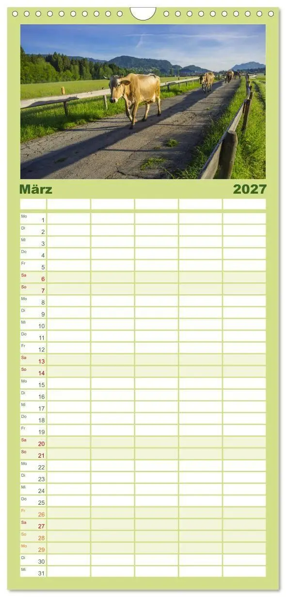 Bild: 9783594344422 | Familienplaner 2027 - Allgäuer Schönheiten Allgäu - Land der Kühe...