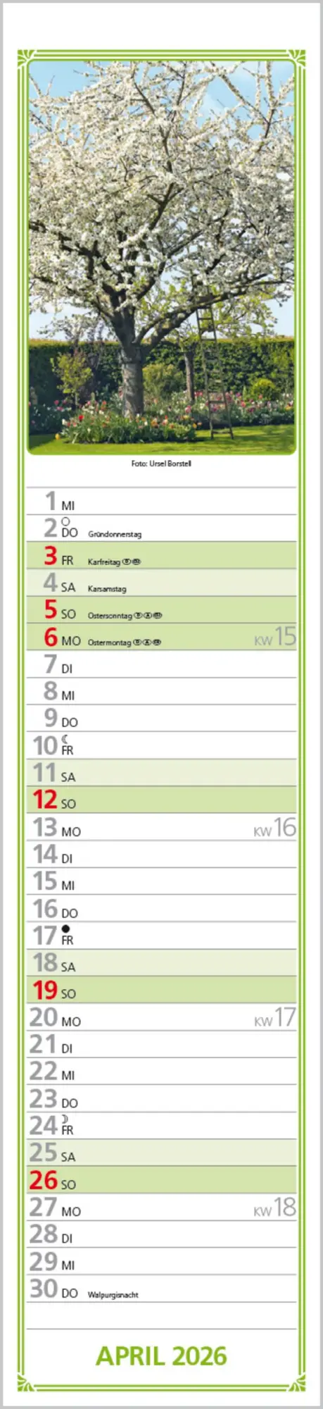 Bild: 9783731884422 | Rudis Gartenplaner 2026 | Langplaner | Verlag Korsch | Kalender | 2026