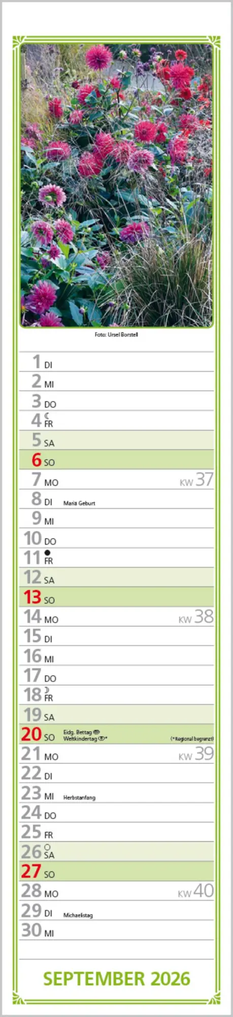 Bild: 9783731884422 | Rudis Gartenplaner 2026 | Langplaner | Verlag Korsch | Kalender | 2026