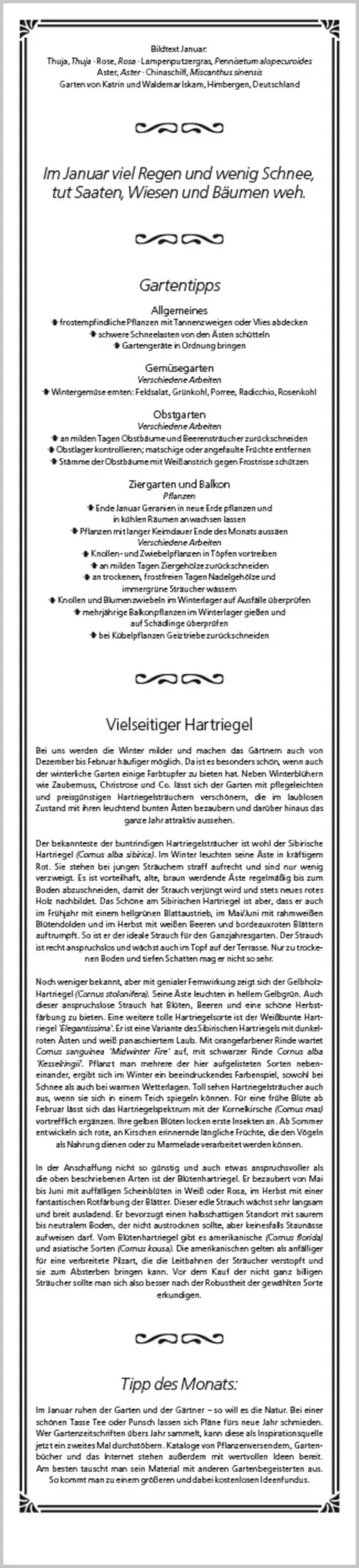 Bild: 9783731884422 | Rudis Gartenplaner 2026 | Langplaner | Verlag Korsch | Kalender | 2026