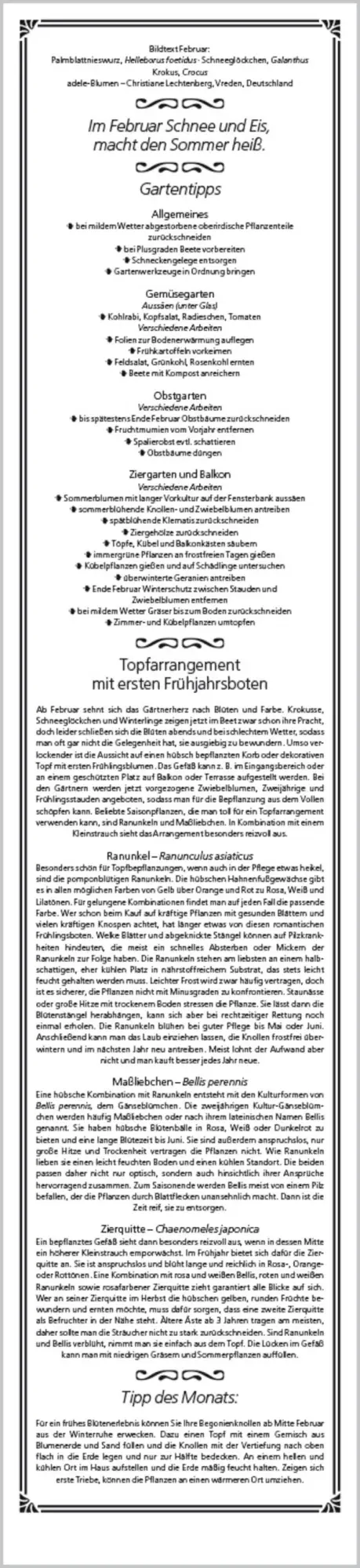 Bild: 9783731884422 | Rudis Gartenplaner 2026 | Langplaner | Verlag Korsch | Kalender | 2026