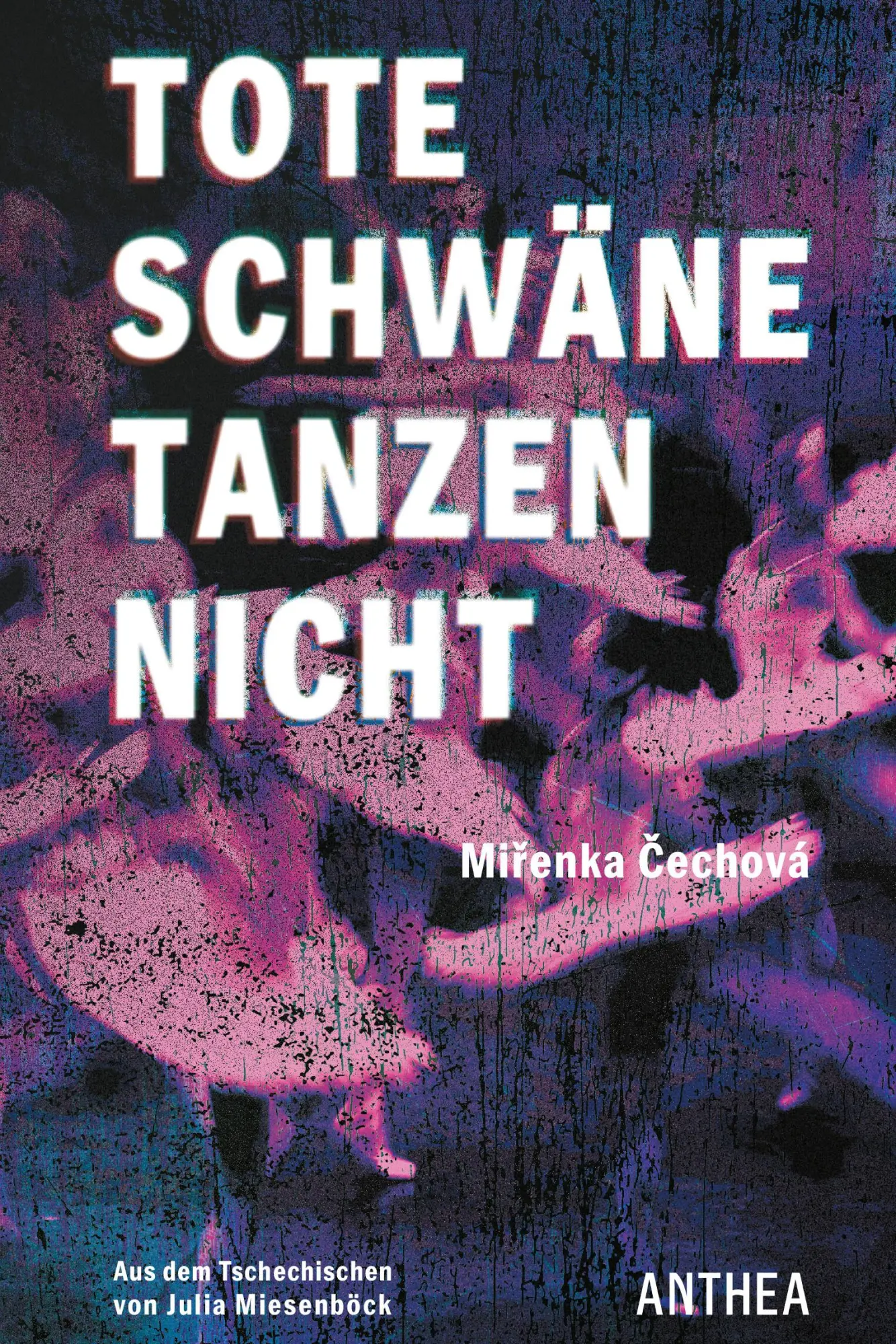 Cover: 9783899984422 | Tote Schwäne tanzen nicht | Roman | Mirenka Cechová | Buch | 252 S.
